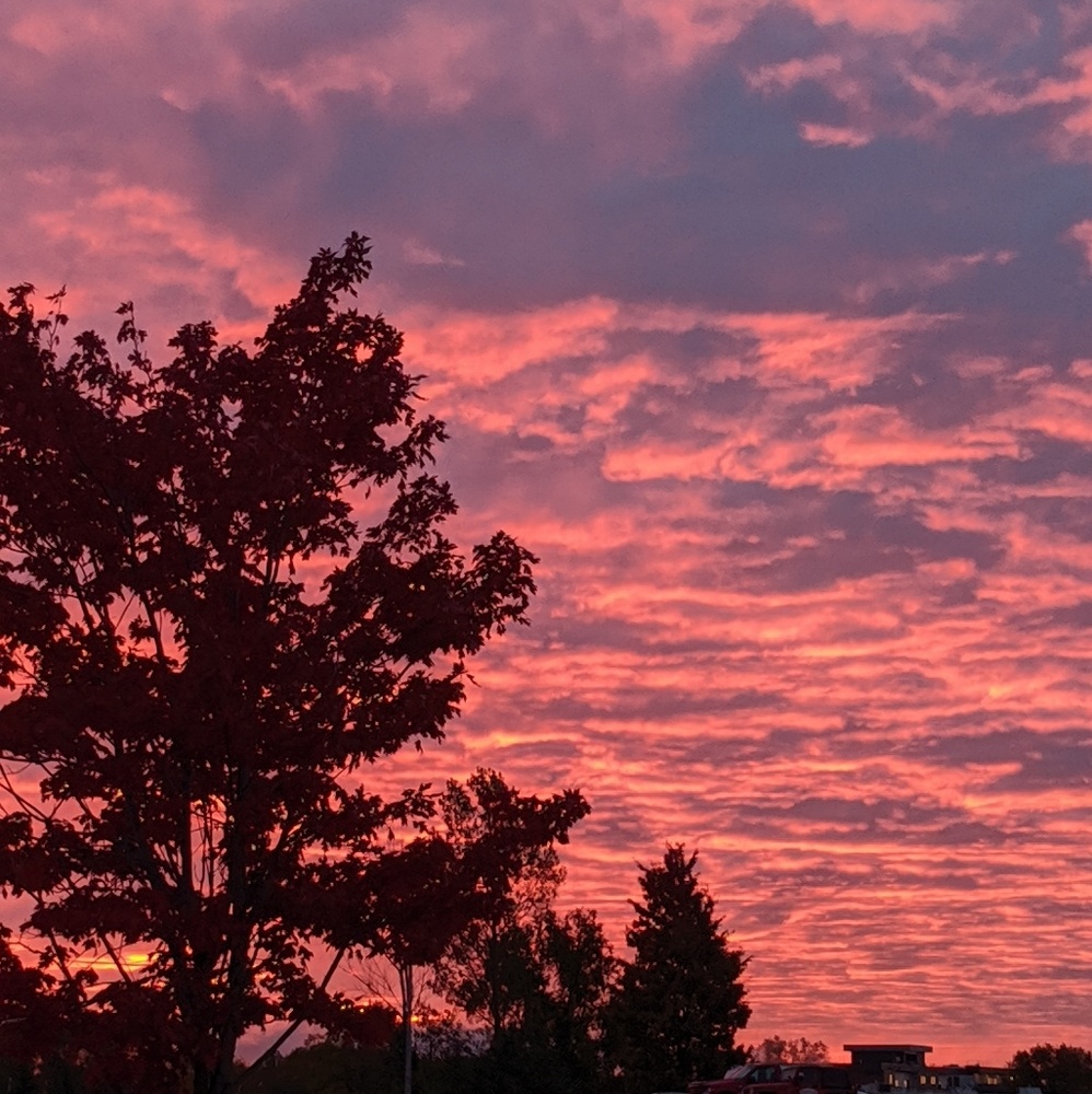 Meet your Posher, Pam